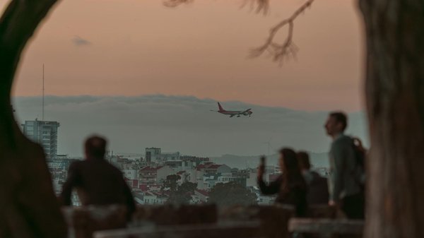 Descubre los mejores secretos para vivir un safari sostenible en sud√°frica